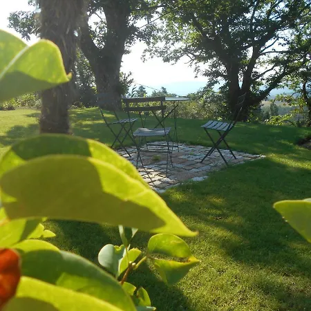 Guest house Les Palmiers *