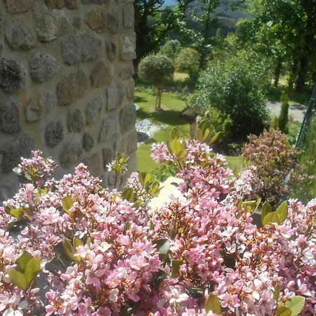 Les Palmiers Pensionat 3*